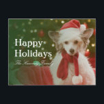 Cartão Postal De Festividades Cão com crista chinês que senta-se na cesta<br><div class="desc">Cão com crista chinês que senta-se na cesta decorada com luzes feericamente,  fim-acima</div>