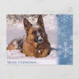 Cartão Postal De Festividades Cão de german shepherd bonito na neve