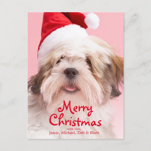Cartão Postal De Festividades Cão de Lhasa Apso que veste o chapéu do papai noel (Frente)