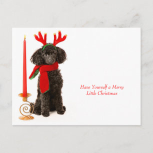 Cartão Postal De Festividades Cão de Poodle de Brinquedo de Natal