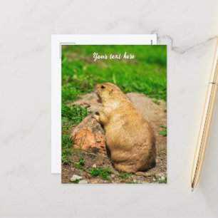 Cartão Postal De Festividades Cão-de-Pradaria-Preto