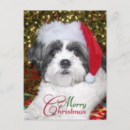 Cartão Postal De Festividades Cão de Shih Tzu do Natal