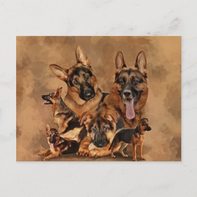 Cartão Postal De Festividades Cão german shepherd - filhote, jovem, adulto (Frente)