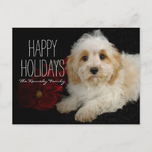Cartão Postal De Festividades Cãozinho Cavachon de Natal