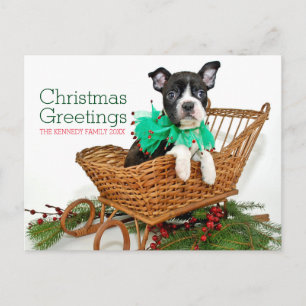 Cartão Postal De Festividades Cãozinho de Natal bonito de Boston Terrier