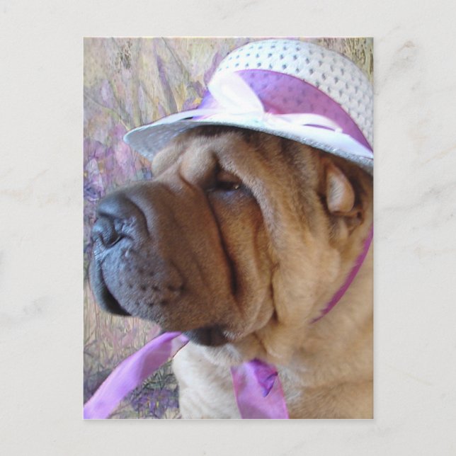 Cartão Postal De Festividades Capota da páscoa (Frente)