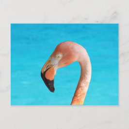 Cartão Postal De Festividades Cara flamingo rosa contra água azul em