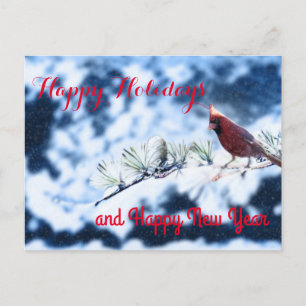 Cartão Postal De Festividades Cardeal Bird Snowy Branch Posta Card