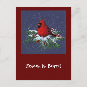 CARTÃO POSTAL DE FESTIVIDADES CARDEAL DO NATAL: PÁSSARO: ARTE: NEVE
