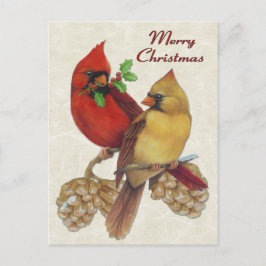 Cartão Postal De Festividades Cardinais de inverno