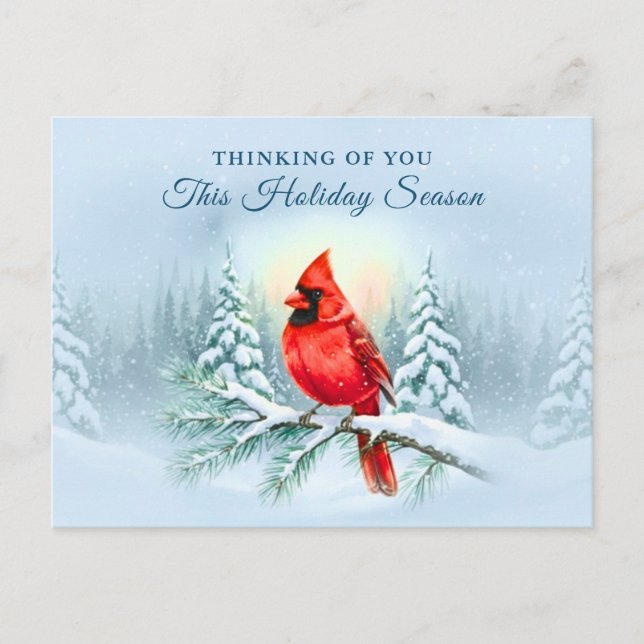 Cartão Postal De Festividades Cardinal Bird Sympathy Condolence Christmas Winter (Frente)