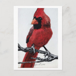 Cartão Postal De Festividades Cardinal do norte