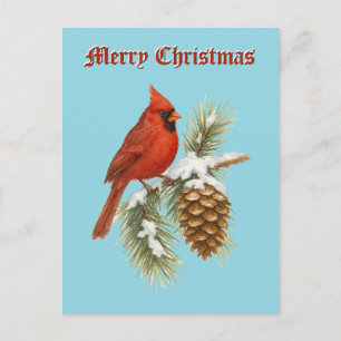 Cartão Postal De Festividades Cardinal na Árvore de Natal de Pinheiro Nevada