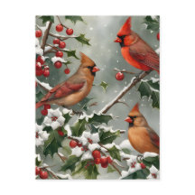 Cardinals and Holly Holiday Postcard