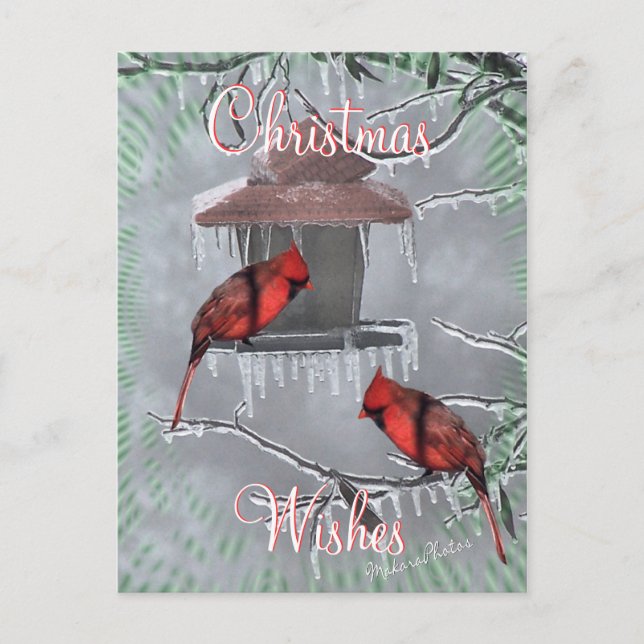 Cartão Postal De Festividades CardinalsIcyFeederPostcard-personalize (Frente)