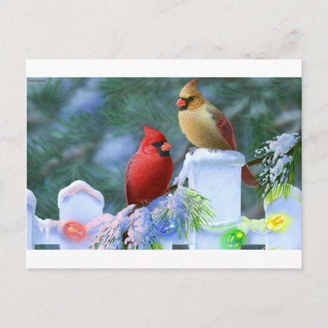 Cartão Postal De Festividades Cardinhos e Luzes de Natal (Frente)