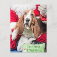 Caro papai noel eu posso explicar Basset Hound
