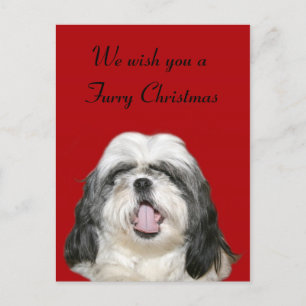 Cartão Postal De Festividades Caroling Christmas Shih Tzu