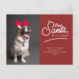 Cartão Postal De Festividades Caros Papais noeis, Eu Tentei Foto