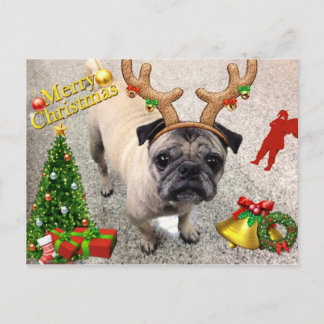 Cartão Postal De Festividades Cartão alegre Machi de X'mas