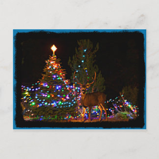 Cartão Postal De Festividades Cartão das luzes da rena e de Natal