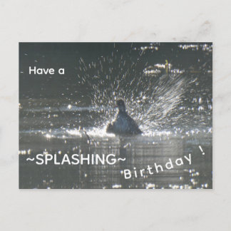 Cartão Postal De Festividades Cartão de aniversário da Galeirão Splashing. Feliz