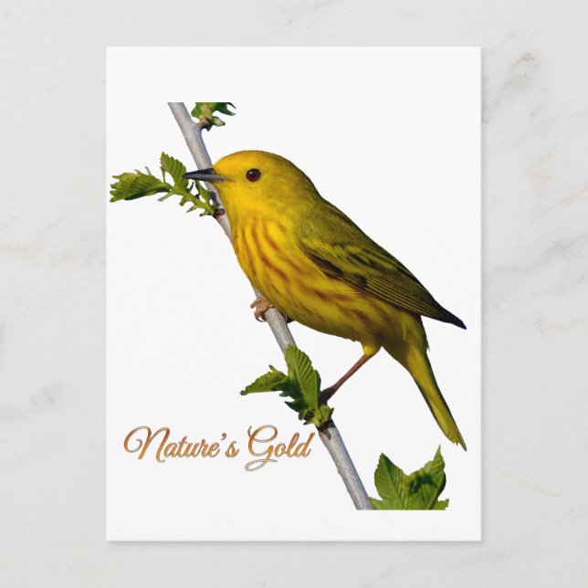 Cartão Postal De Festividades Cartão de Arte Impresso "Dourado da Natureza" amar (Frente)