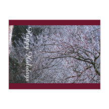 Cartão de Boas Festas