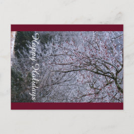 Cartão Postal De Festividades Cartão de Boas Festas