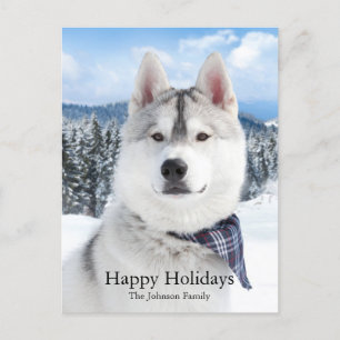 Cartão Postal De Festividades Cartão de Feriado Plano de Foto Pet Bonito
