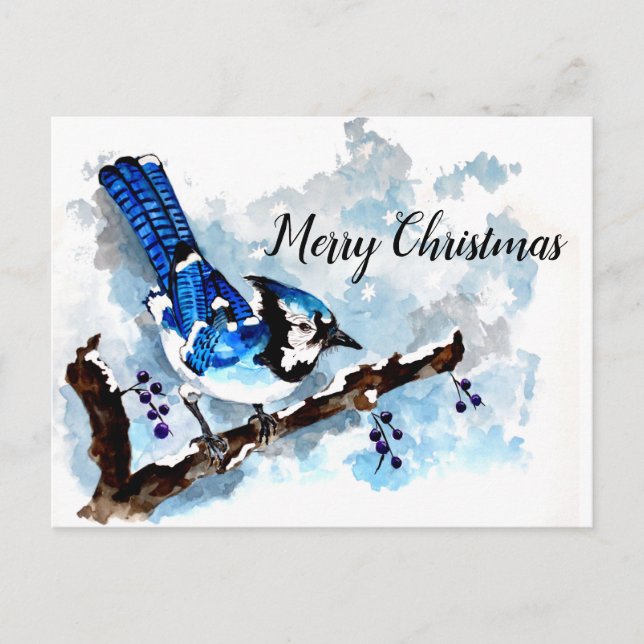 Cartão Postal De Festividades Cartão de Férias Blue Jay Winter (Frente)