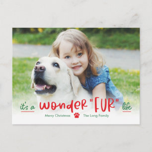 Cartão Postal De Festividades Cartão de Férias de Pet da Wonderfur Life