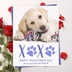Cartão Postal De Festividades Cartão de Férias de Pet de Cachorro de dia de os n