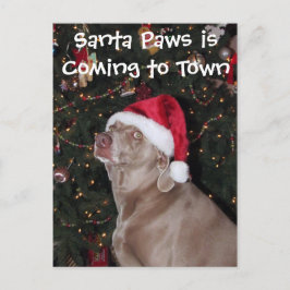 Cartão Postal De Festividades Cartão de Natal da chuva - Cachorro / Weimaraner