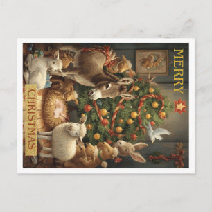 Cartão Postal De Festividades Cartão de Natal de Celebração no Quintal