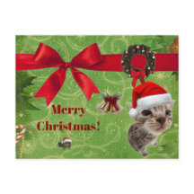cartão de Natal de gatinho engraçado