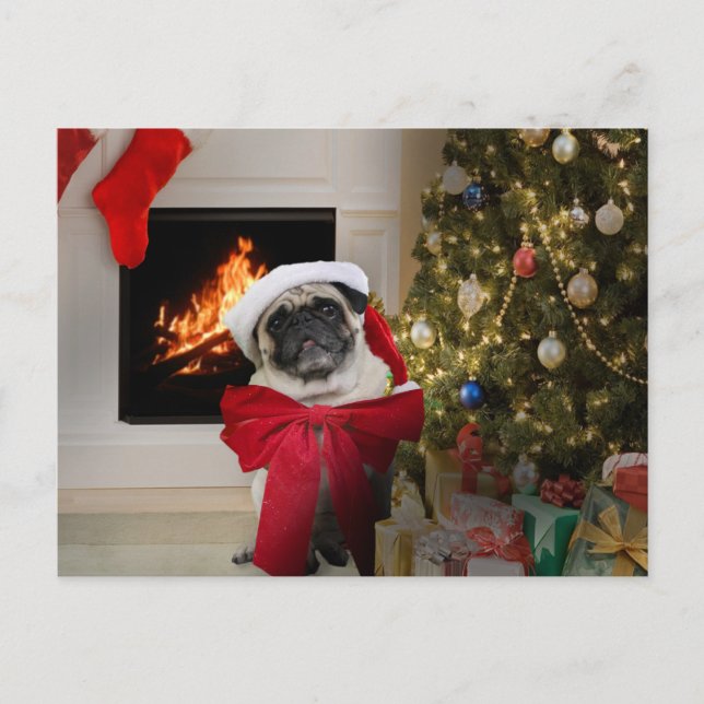 Cartão Postal De Festividades Cartão de Natal de Misha do Pug (Frente)