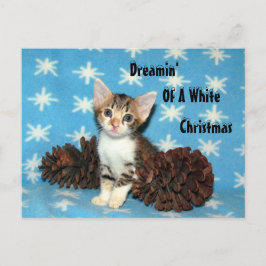 Cartão Postal De Festividades Cartão de Natal de Tippy - Gato/Gatinho