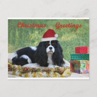 Cartão Postal De Festividades Cartão de Natal descuidado