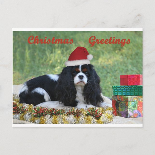 Cartão Postal De Festividades Cartão de Natal descuidado (Frente)