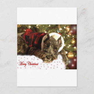 Cartão Postal De Festividades Cartão de Natal do animal de estimação