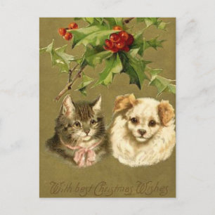 Cartão Postal De Festividades Cartão de Natal do gato & do cão