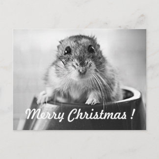 Cartão Postal De Festividades Cartão de Natal do hamster