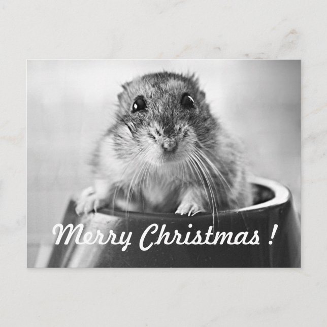 Cartão Postal De Festividades Cartão de Natal do hamster (Frente)