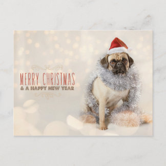 Cartão Postal De Festividades Cartão de Natal do Pug