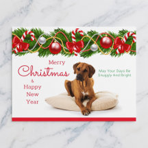 Cartão de Natal do Rhodesian Ridgeback