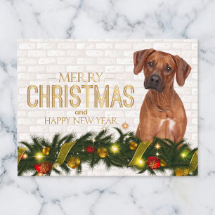 Cartão Postal De Festividades Cartão de Natal do Rhodesian Ridgeback
