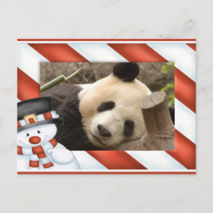 Cartão Postal De Festividades Cartão de Natal do urso de panda gigante & da