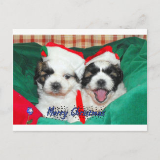 Cartão Postal De Festividades Cartão de Natal dos filhotes de cachorro
