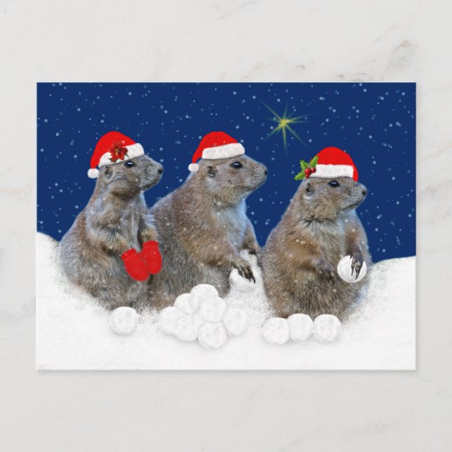 Cartão Postal De Festividades Cartão de Natal Let it Snow (Frente)